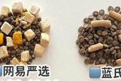 猫粮怎么选？SC善存冻干无谷猫粮用配料表引导你的选择！